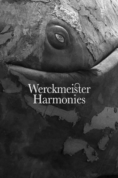 Werckmeister Harmonies